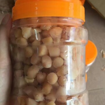 干贝食用鲜活0.1~0.9只/kg