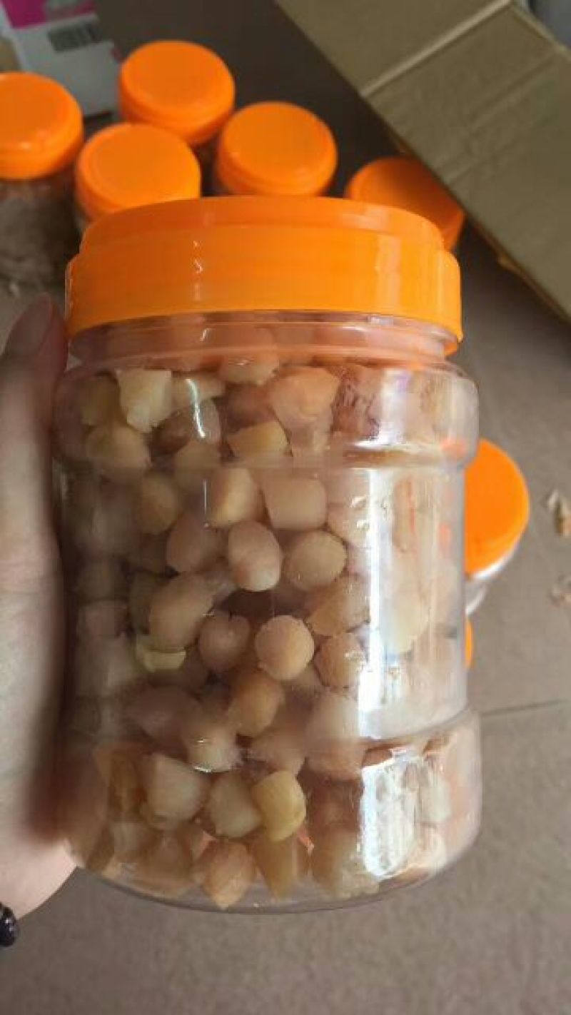 干贝食用鲜活0.1~0.9只/kg