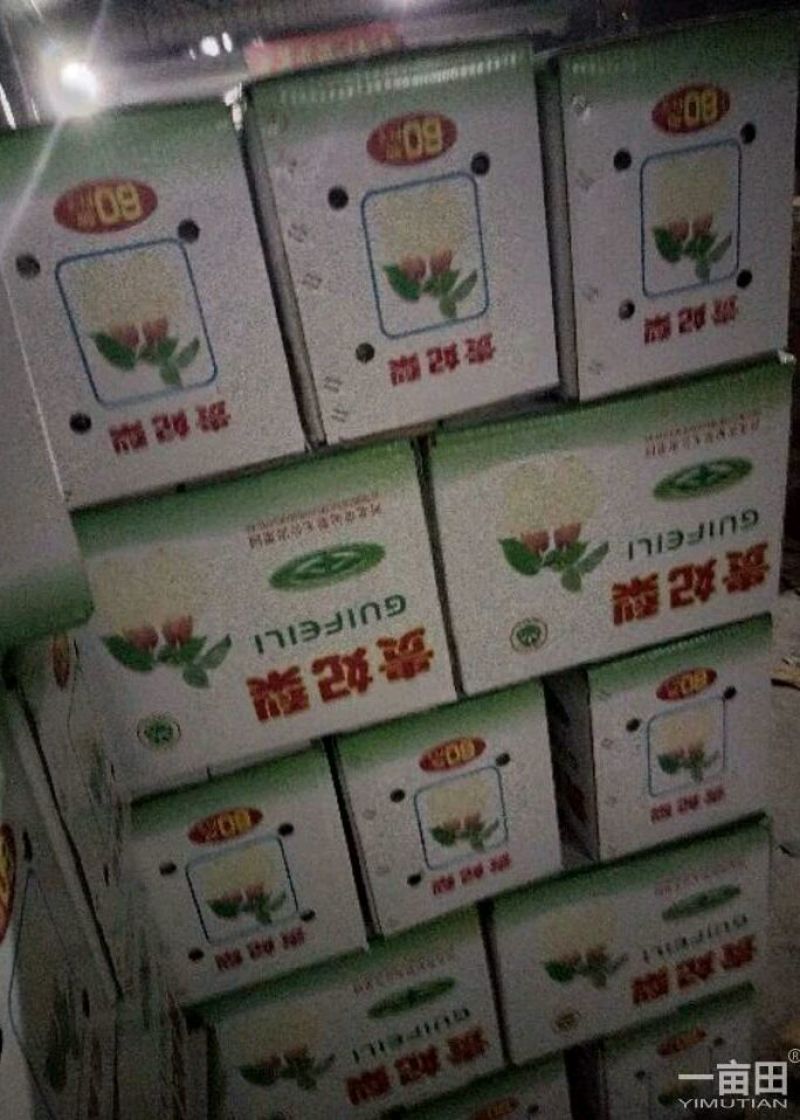 贵妃梨纸箱400~450g