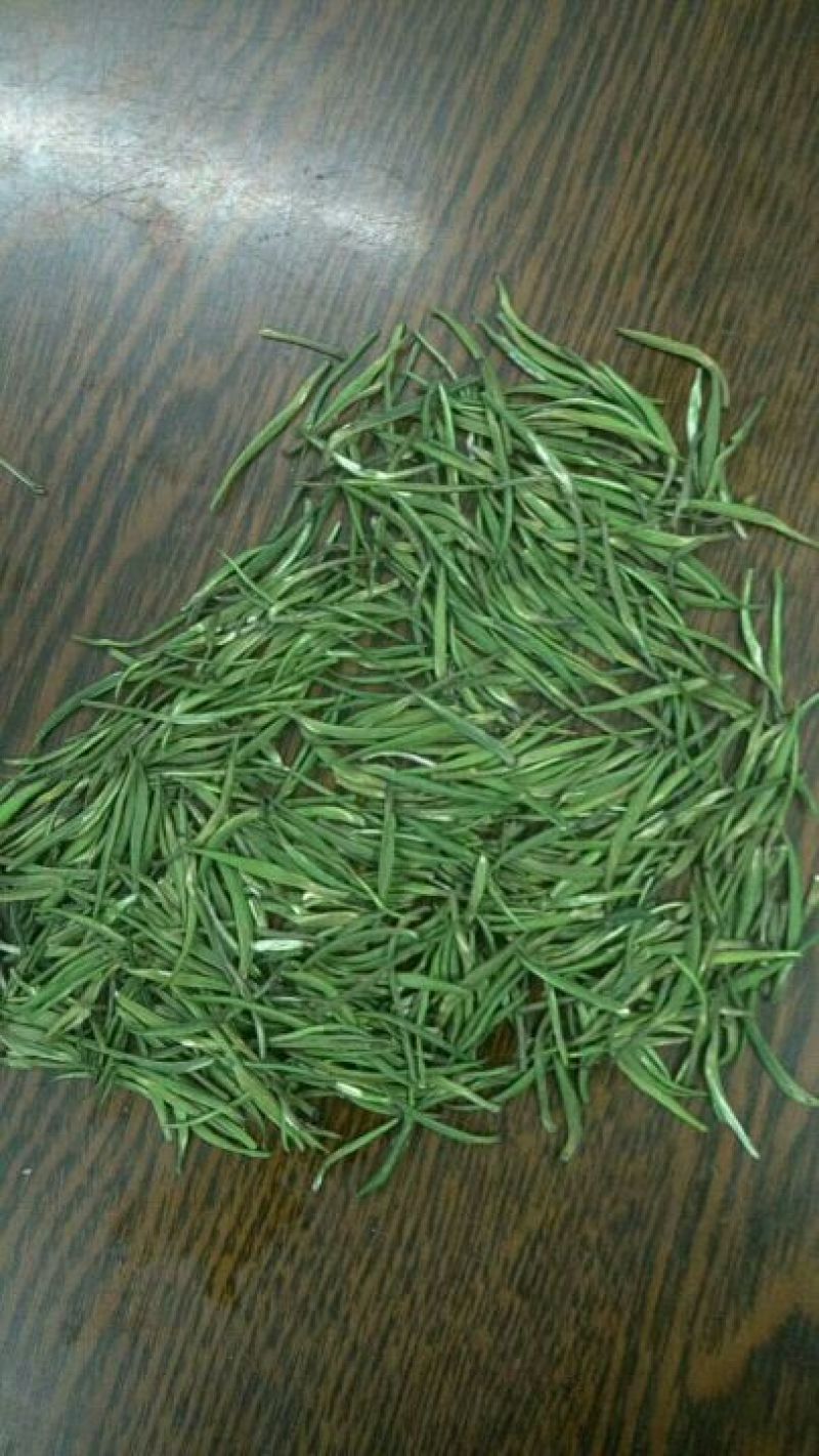 【有好货】湄潭翠芽特级包邮净重100g/袋