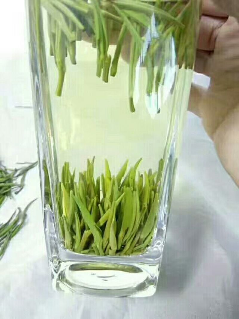【有好货】湄潭翠芽特级包邮净重100g/袋