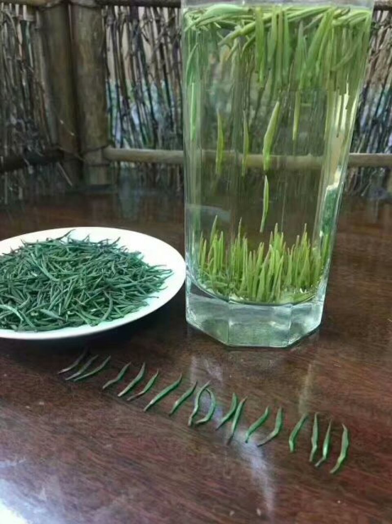 【有好货】湄潭翠芽特级包邮净重100g/袋