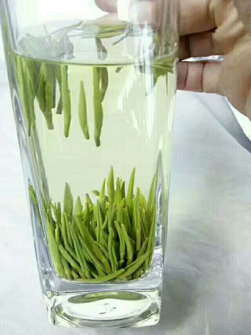 【有好货】湄潭翠芽特级包邮净重100g/袋