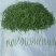 【有好货】湄潭翠芽特级包邮净重100g/袋