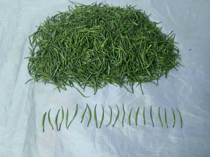 【有好货】湄潭翠芽特级包邮净重100g/袋