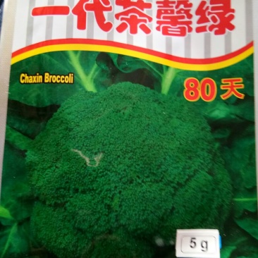 西兰花种子