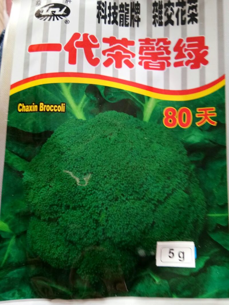 西兰花种子