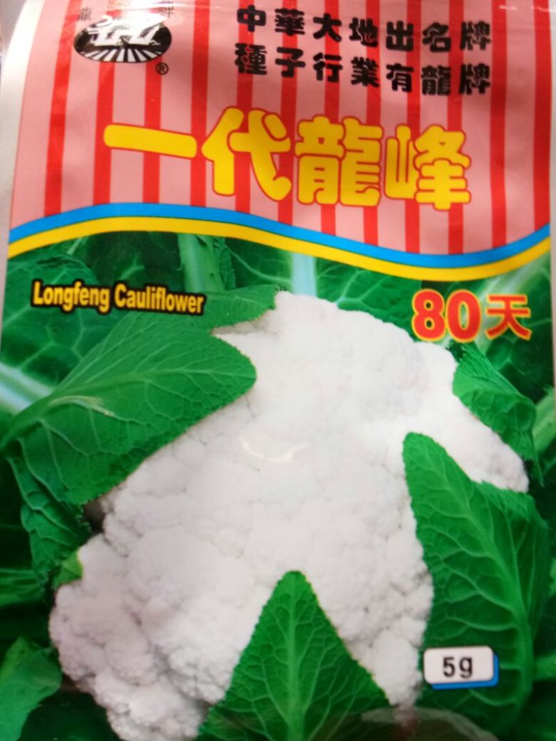 西兰花种子