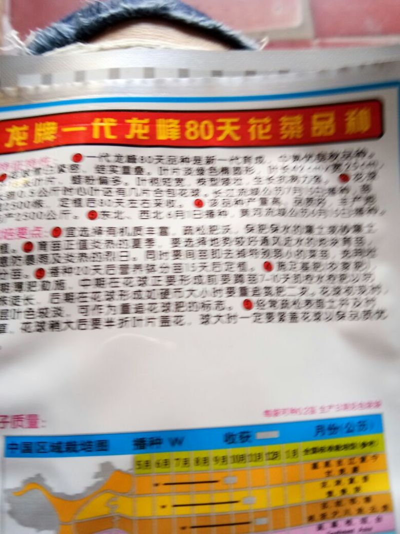 西兰花种子
