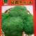 西兰花种子