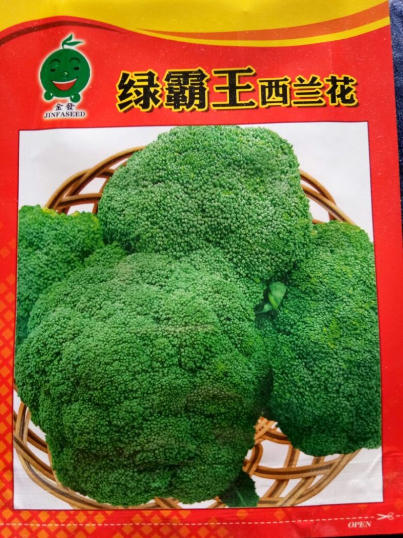 西兰花种子