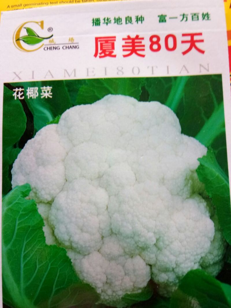 西兰花种子