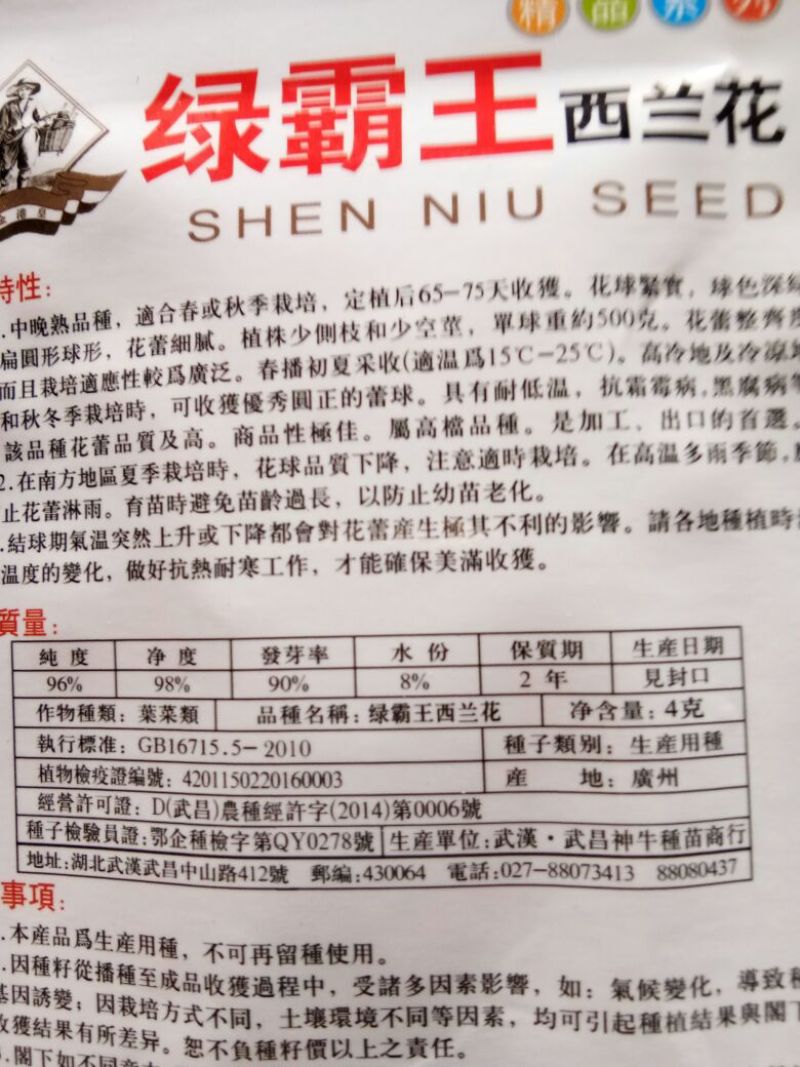 西兰花种子