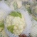 白花菜花1斤紧密乳白