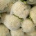 白花菜花1斤紧密乳白