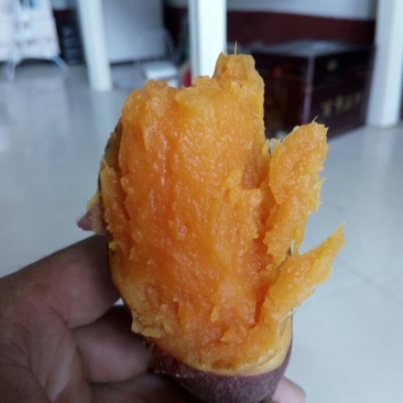 红皮红心红苏八，也叫小花叶又叫里外红。产地直发