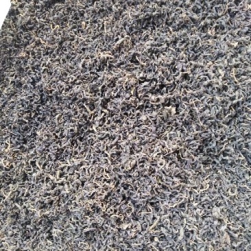 青钱柳茶特级