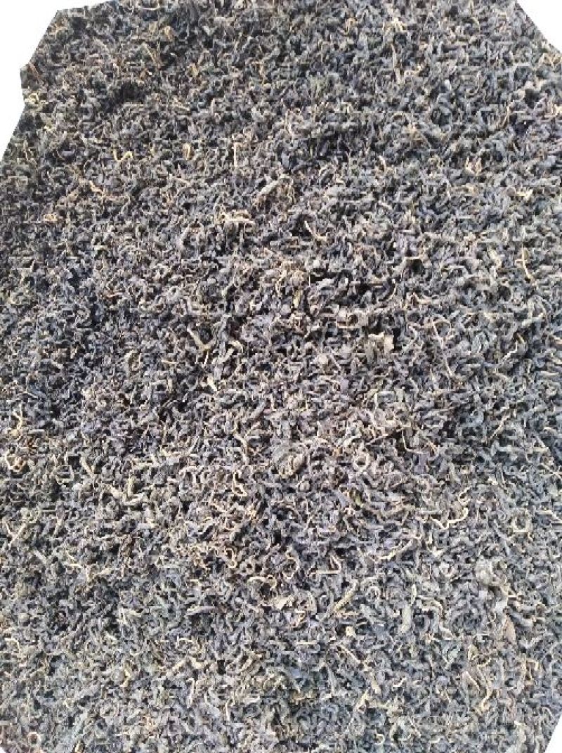 青钱柳茶特级