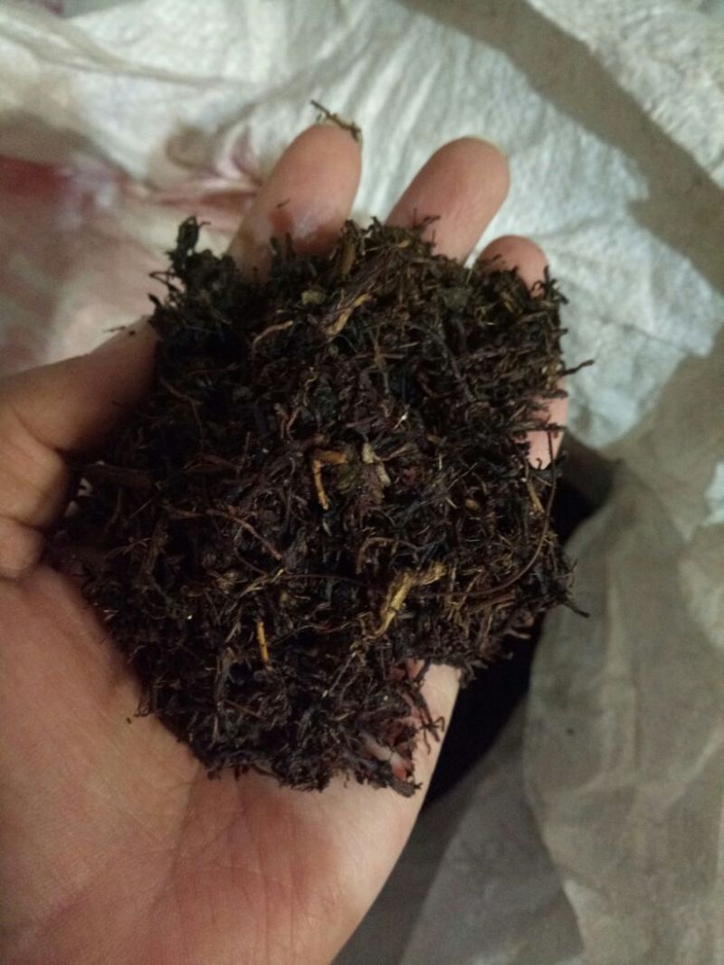 紫苑河北干货人工种植量大从优欢迎选购