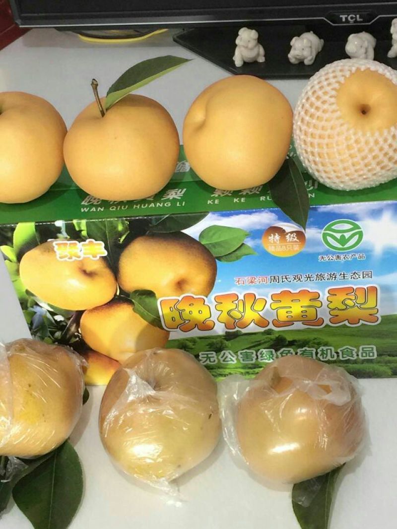 晚秋黄梨梨，东海县晚秋黄梨