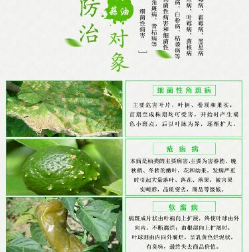 大蒜油乳油
