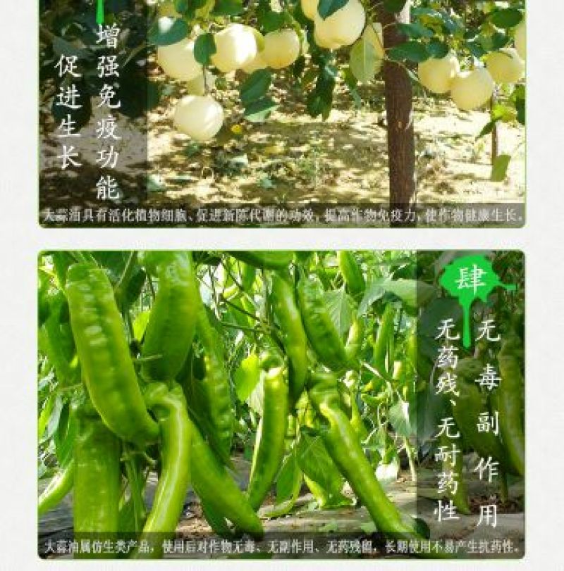 大蒜油乳油