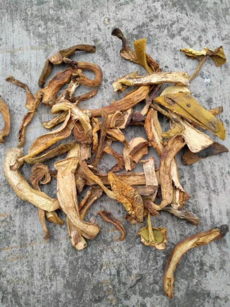 黄牛肝菌，野生菌类之一，色泽好香味浓，干度好无霉无杂