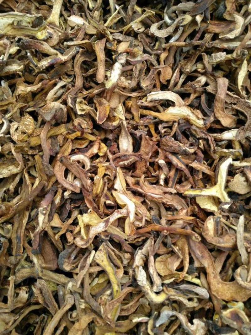 黄牛肝菌，野生菌类之一，色泽好香味浓，干度好无霉无杂