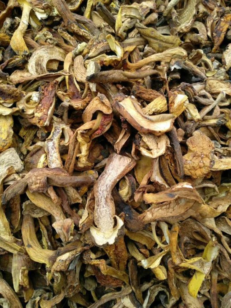 黄牛肝菌，野生菌类之一，色泽好香味浓，干度好无霉无杂