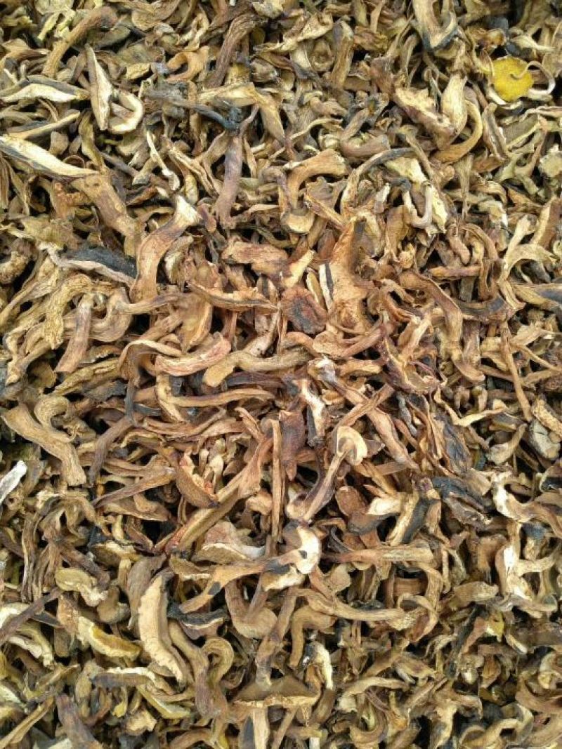 黄牛肝菌，野生菌类之一，色泽好香味浓，干度好无霉无杂