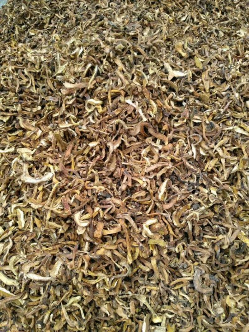 黄牛肝菌，野生菌类之一，色泽好香味浓，干度好无霉无杂