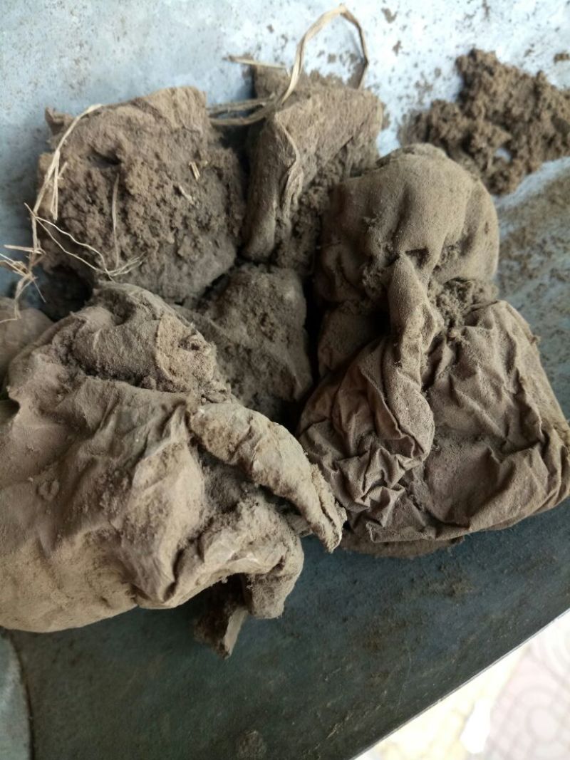 马勃河北干货2斤起包邮量大从优