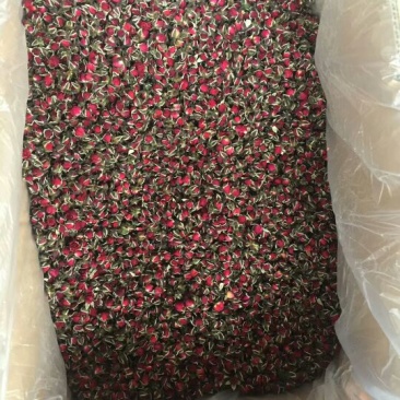 药用玫瑰花