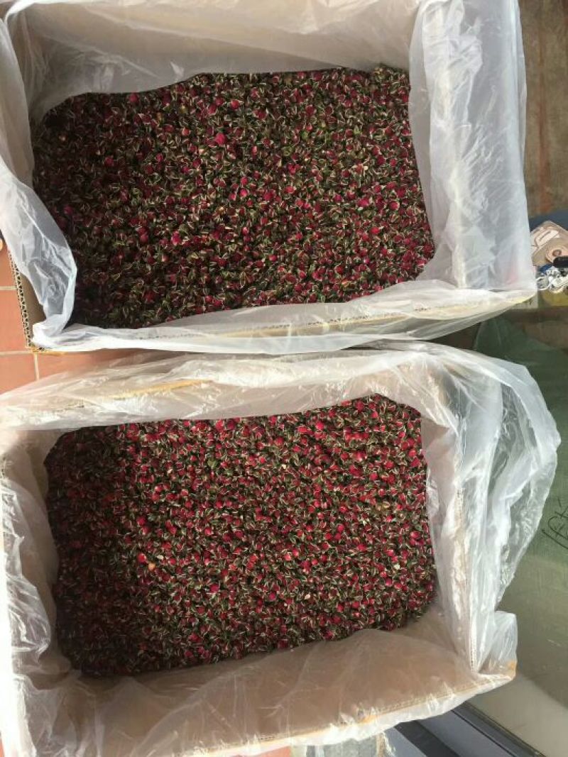 药用玫瑰花
