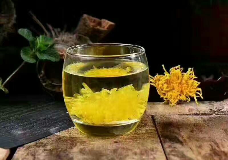 金丝皇菊茶特级