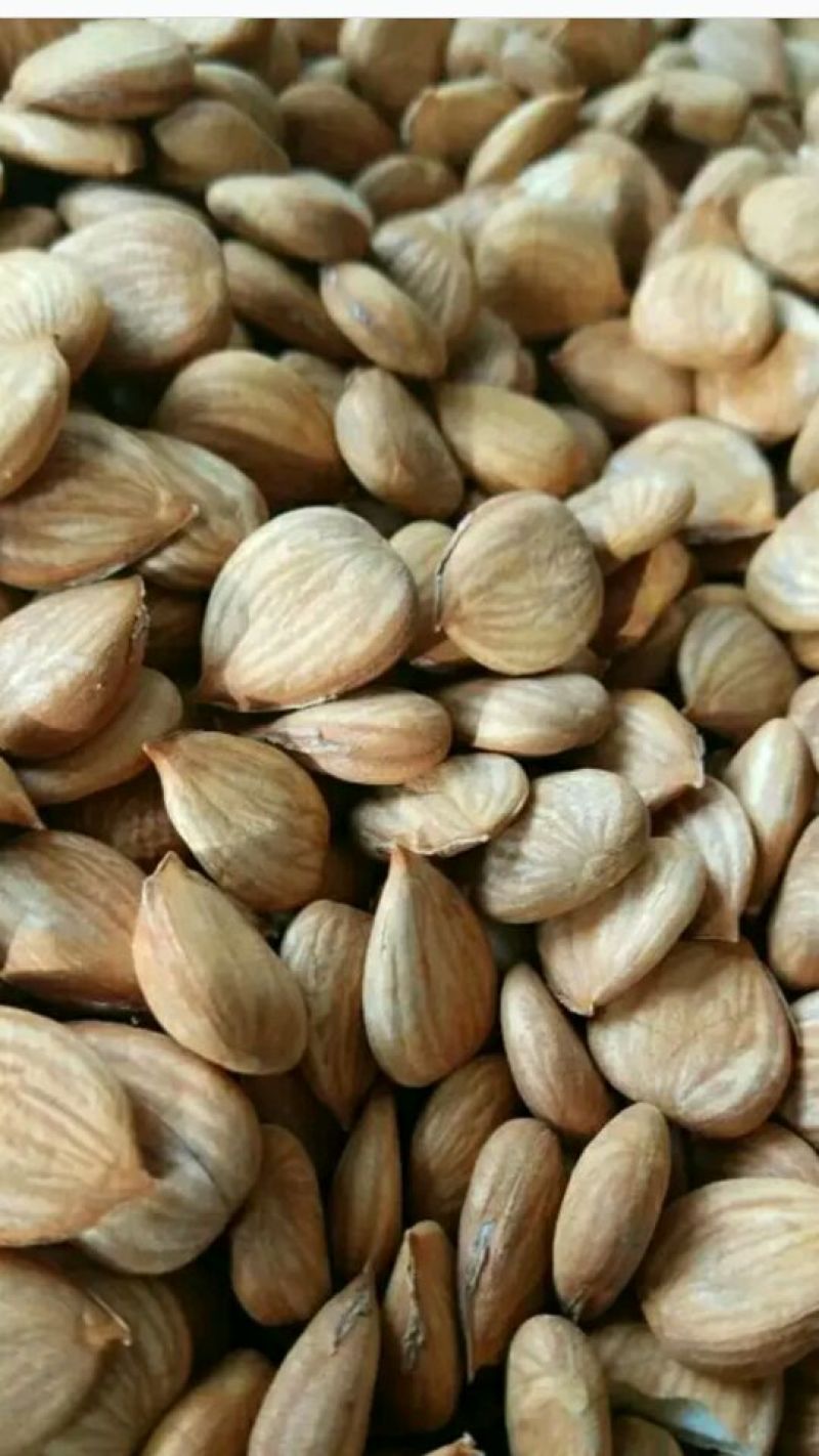 大扁杏仁一级好货，需要联系，仁饱满度不错