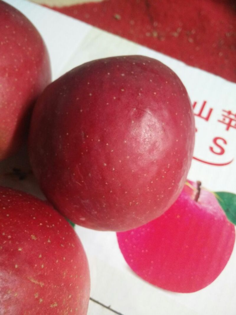 昭通冰糖心丑苹果，香甜可口，回味实足，天然富硒等。