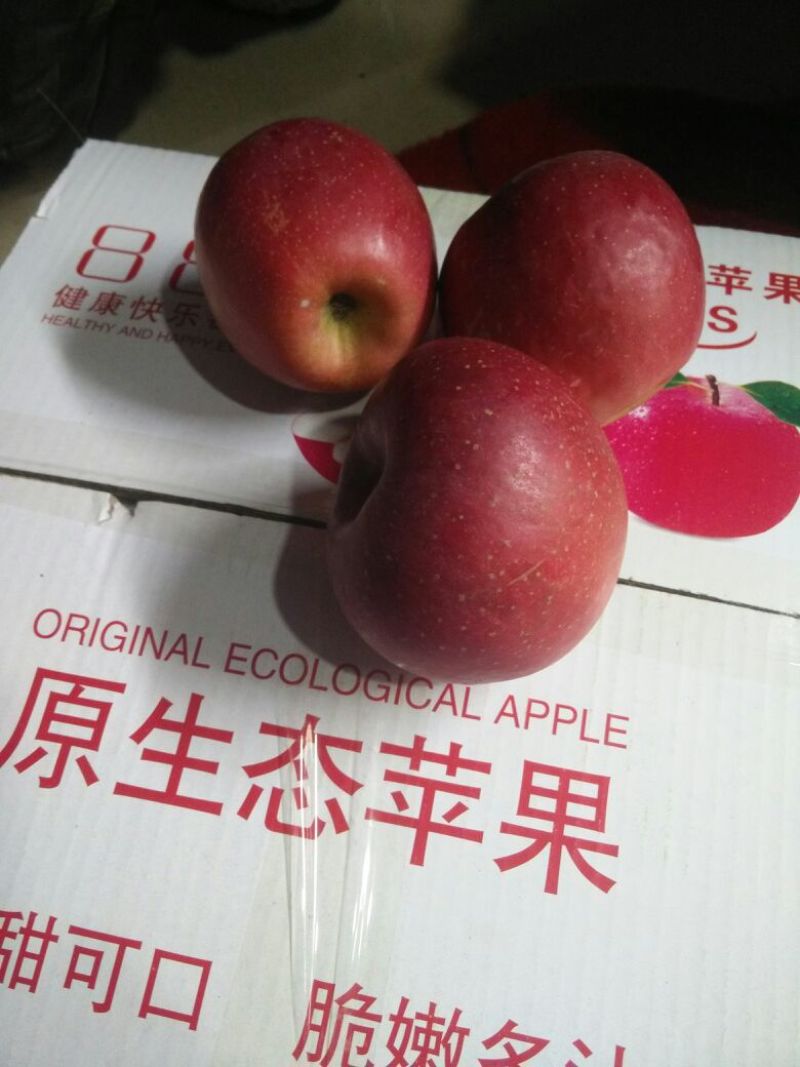 昭通冰糖心丑苹果，香甜可口，回味实足，天然富硒等。
