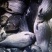 鳊鱼鱼苗活鱼25~30cm