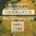 金丝皇菊茶特级