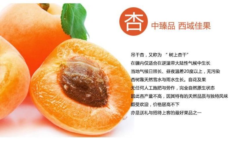 杏干