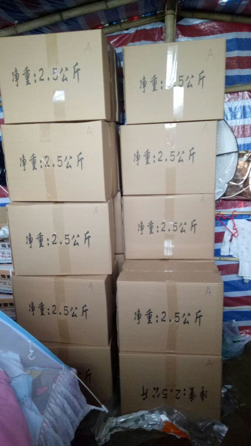 干竹荪一级