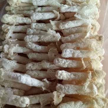 干竹荪一级