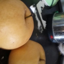 黄金梨400~450g纸袋
