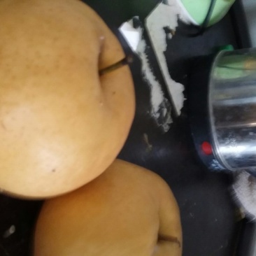 黄金梨400~450g纸袋