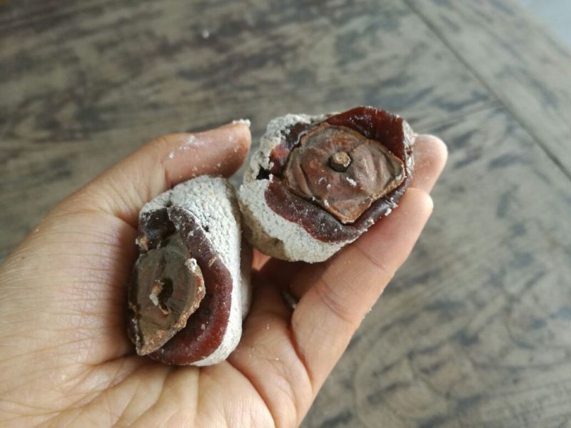 柿饼1两以下