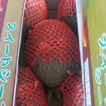 甜瓜通货2斤以上