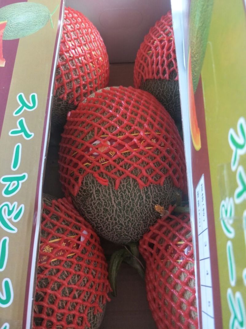 甜瓜通货2斤以上
