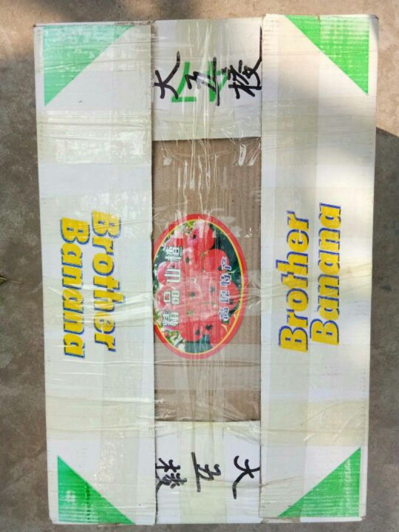 大棉球山楂质量杠杠的可实地看货考察