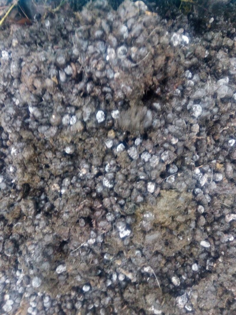 羊粪有机肥，场地直接发货........